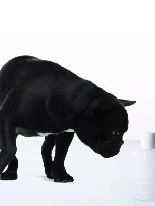 Juliette Has a Gun – Anyway