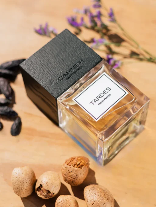 Carner Barcelona – Tardes