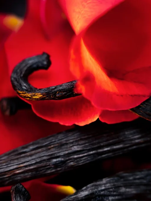 Maison Crivelli – Hibiscus Mahajad Extrait